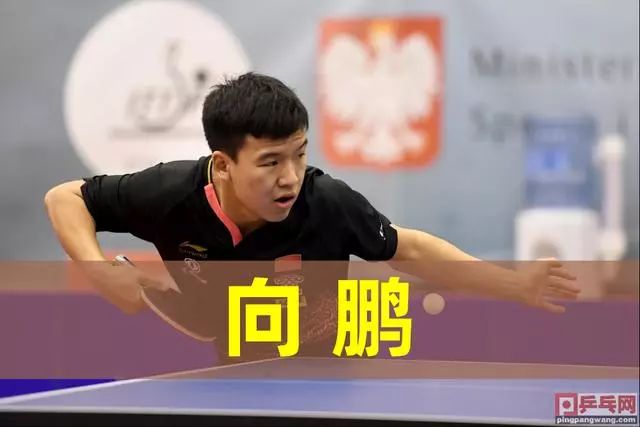 升整体竞争 升整体竞争