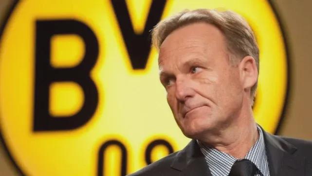 球场声学的 球场声学的