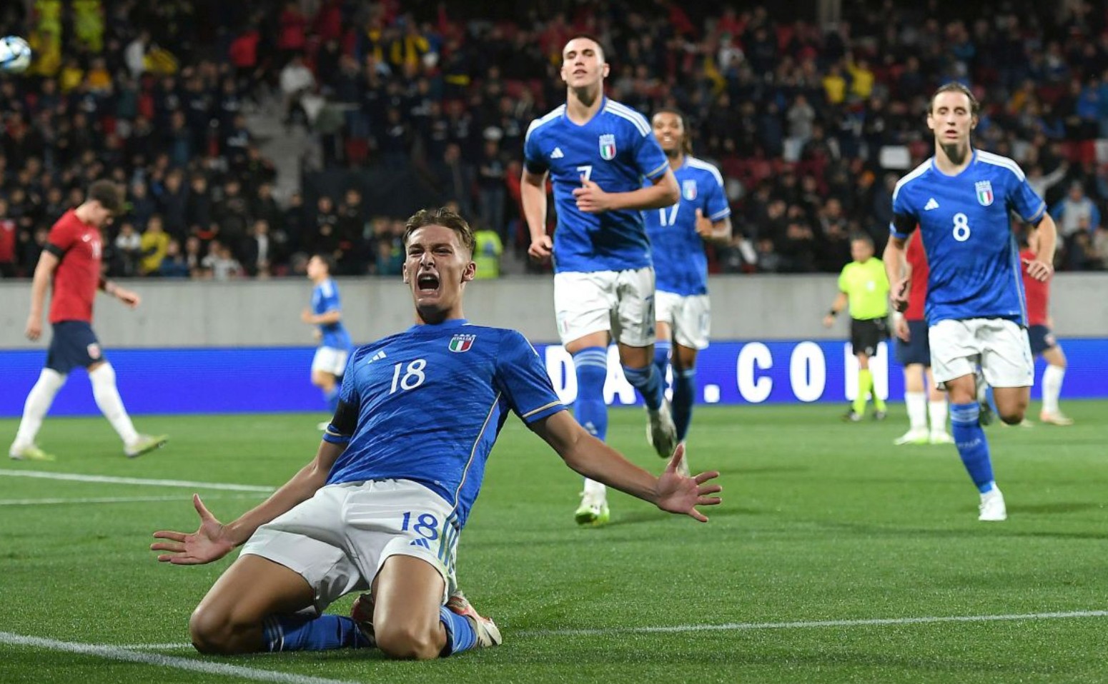 评估与年度 评估与年度